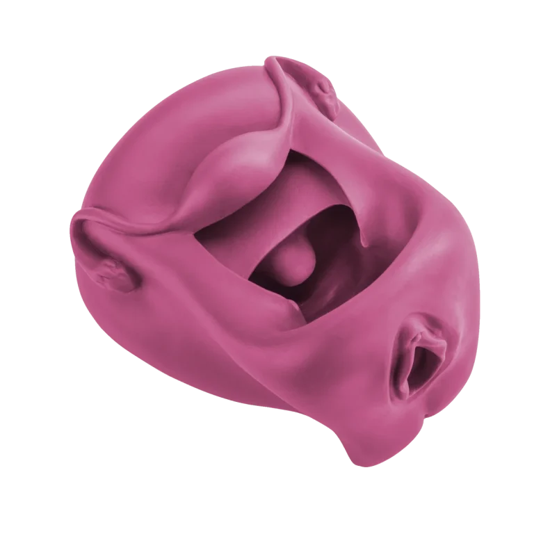 Diaphragma model - detail - dispozitiv medical MedIntim