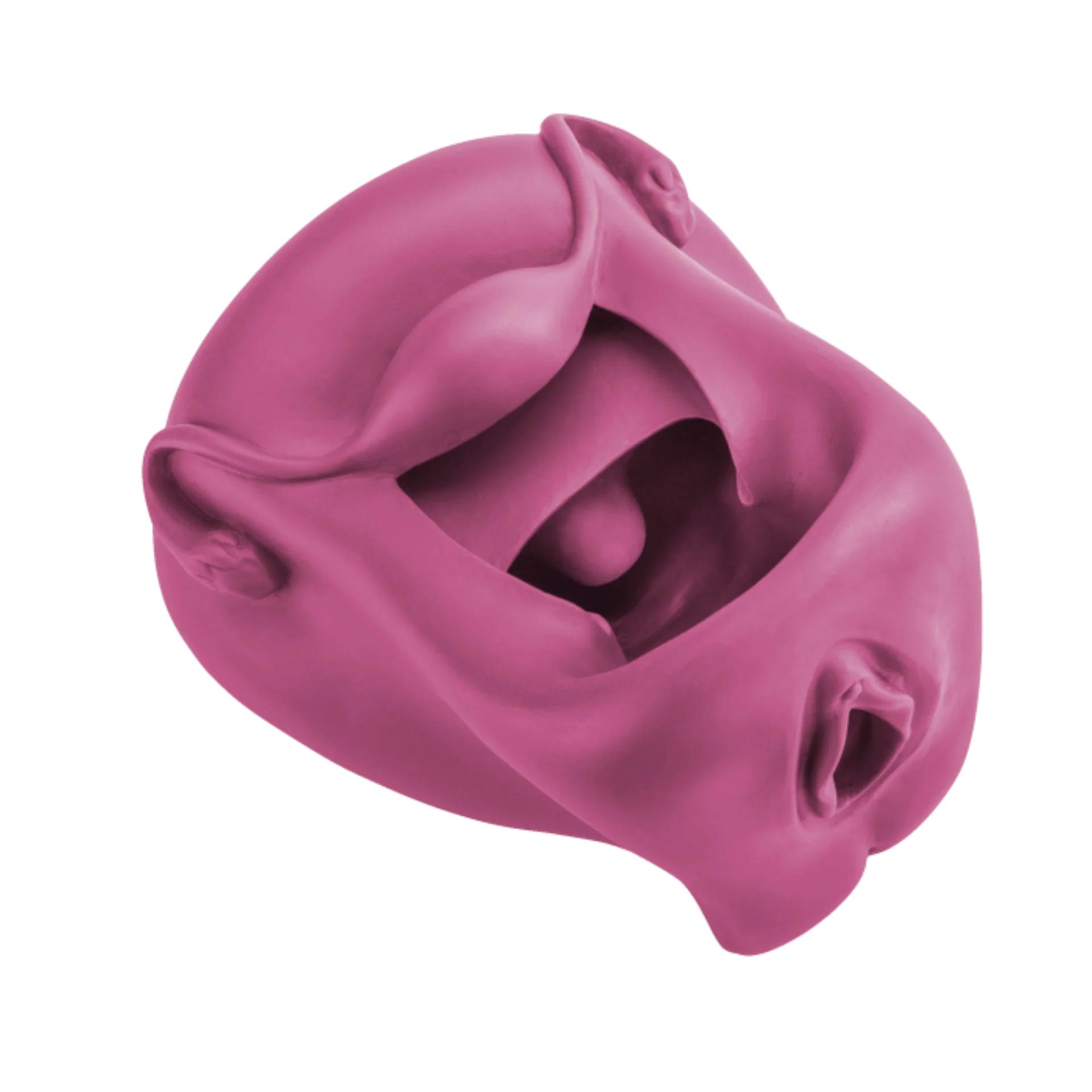 Diaphragma model - imagine principală - dispozitiv medical MedIntim