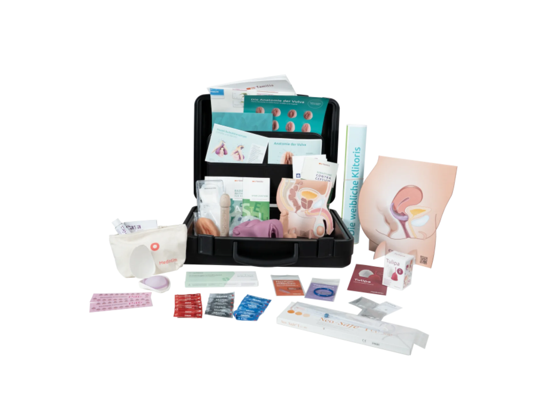 Education case with contraceptives - imagine principală - dispozitiv medical MedIntim